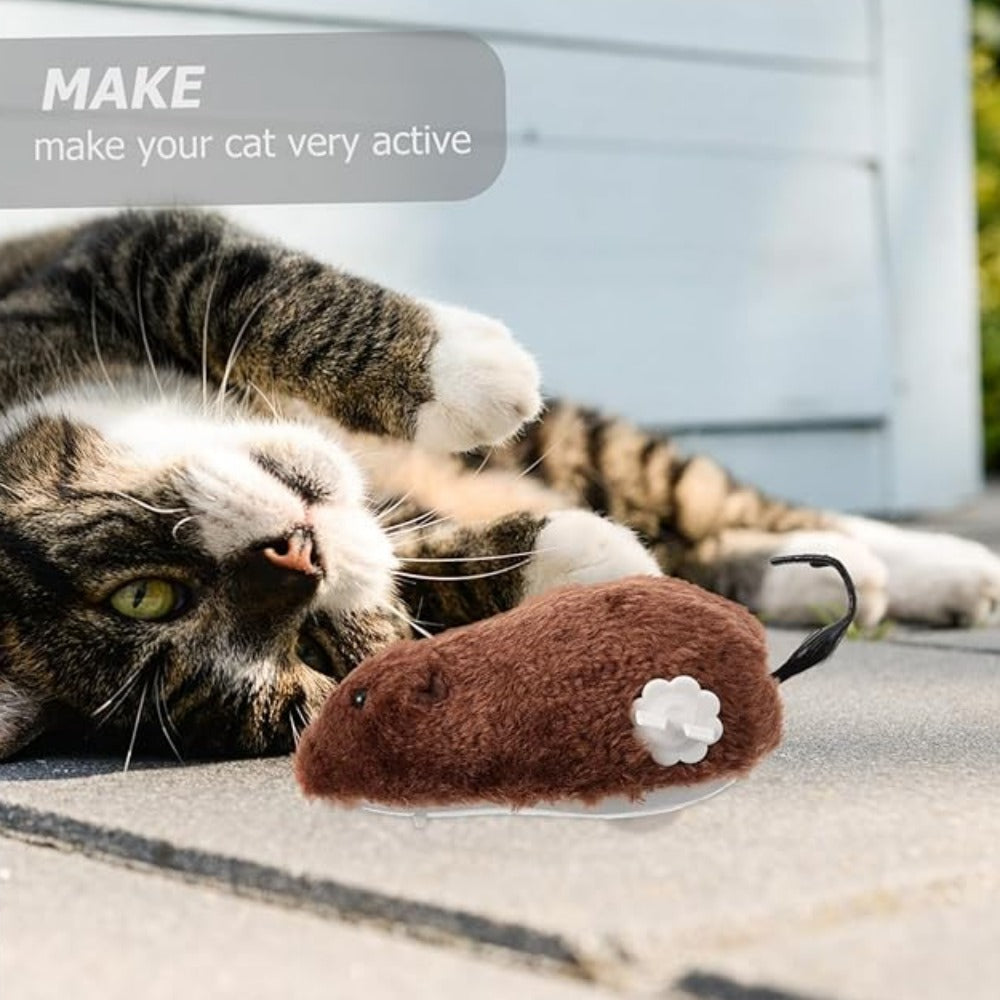 Everyday.Discount buy cat play toys classical windup mice funny entertaining interactive movable windup customers rated mice plush cat chew bite pillow playtoys cats pinterest stimulating moving stuffed catmint playing dolls moving interactive kittens tiktok youtube videos playing cat instagram animal healthcare petshop everyday.discount free.shipping