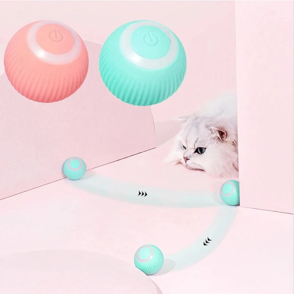 Everyday.Discount buy cat play self moving ball interactive electronic play ball cat pinterest kittens instincts hunting bouncing gravity ball tiktok youtube videos cat entertaining activity stimulate boredom kittens toys promote healthy stimulation cats instagram pet's influencers  activity boredom cat mental curiosity exercise chargeable ball joyful cat attractive pouncing swatting petsafe natural instincts behavior catball everyday free.shipping petshop supplies