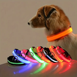 Everyday.Discount buy happiest buying customers reflective walking gear tiktok youtube videos adjustable dogs collar solid seasons outdoors collar instagram influencer petsafe custom color fluorecent safety collar dogs cat animal glow into the dark collars everyday free.shipping boutique everyday.discount shoponline night glowing lighting safety dogs