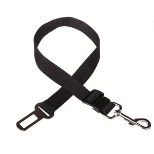 Everyday.Discount buy dogs car seat belts pinterest car safety leash frontseat straps collar tiktok youtube videos car seatbelt buckle strap dogs middle seat frontseat backseat for car instagram animal traveling inside car dogseat suv strap seatbelt extender german shepherd retriever greyhound everyday free.shipping shoponline petshop quality price dogs seatbelt