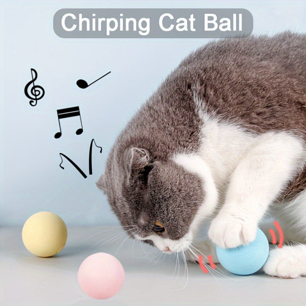 Everyday.Discount buy cat interactive catnip balls gravity boredom soundball kittens cat natural behavior playtime cat indoors entertaining pinterest cats tiktok stimulate instincts boredom cat youtube videos cat entertaining insects calling playball instagram ifluencer cat activity playtoy petshop everyday free.shipping petsafe cat attractive healthy kittens  