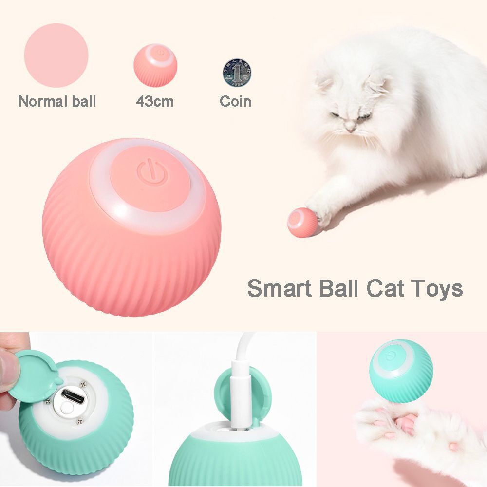 Everyday.Discount buy cat play self moving ball interactive electronic play ball cat pinterest kittens instincts hunting bouncing gravity ball tiktok youtube videos cat entertaining activity stimulate boredom kittens toys promote healthy stimulation cats instagram pet's influencers  activity boredom cat mental curiosity exercise chargeable ball joyful cat attractive pouncing swatting petsafe natural instincts behavior catball everyday free.shipping petshop supplies