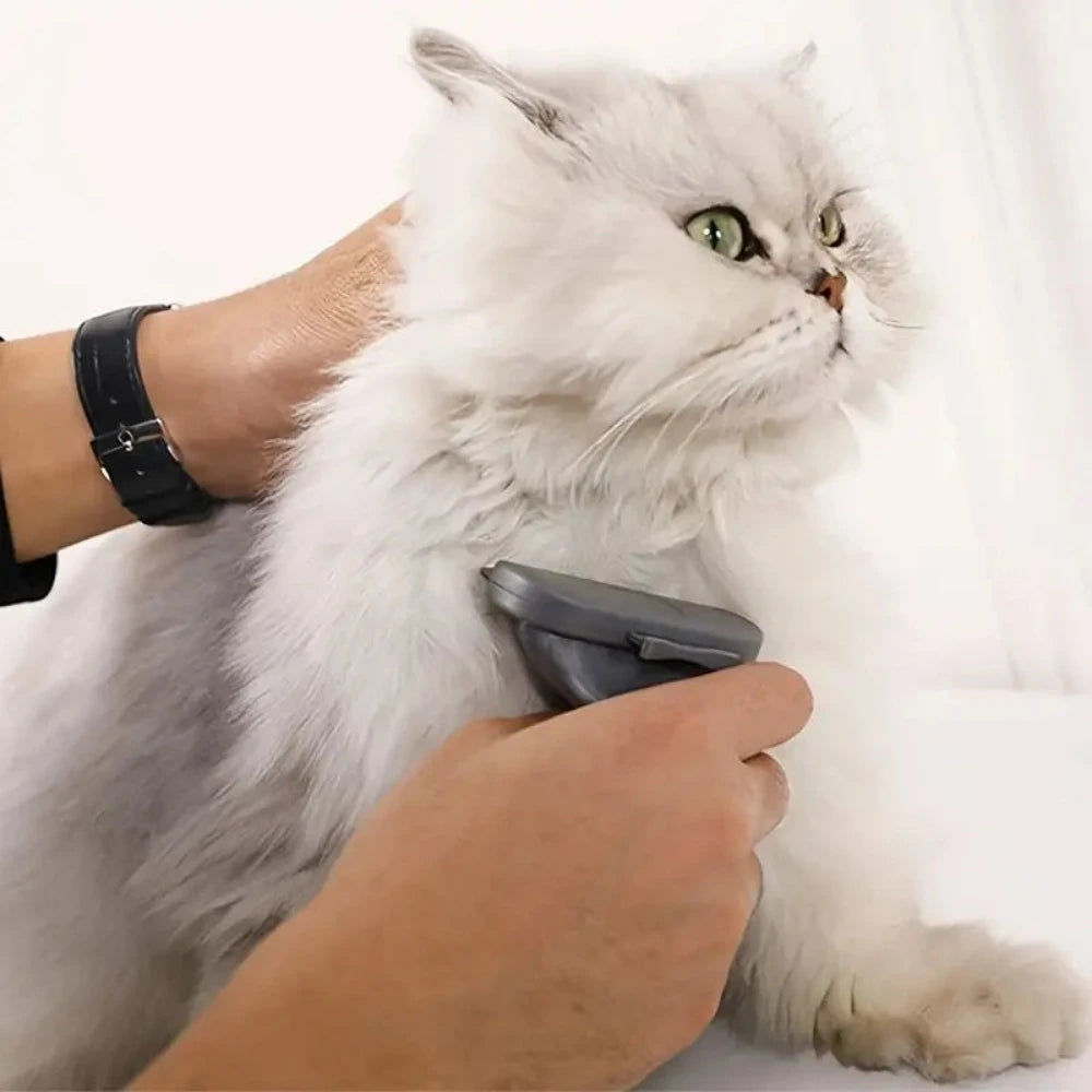 Everyday.Discount buy dogs cat hairs haircomb pinterest deshedding dematting brushes  youtube videos animal hairknots pethair grooming tiktok cathairs curly removal shedding  eliminator instagram influencer pethair fur remove ionic comb detangler trimming matted volumizing grooming curly detangling haircomb everyday free.shipping petshop petmart 