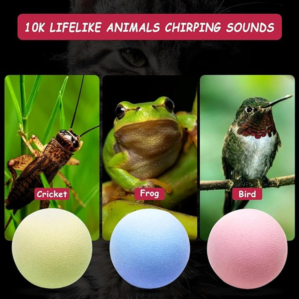 Everyday.Discount buy cat interactive catnip balls gravity boredom soundball kittens cat natural behavior playtime cat indoors entertaining pinterest cats tiktok stimulate instincts boredom cat youtube videos cat entertaining insects calling playball instagram ifluencer cat activity playtoy petshop everyday free.shipping petsafe cat attractive healthy kittens  