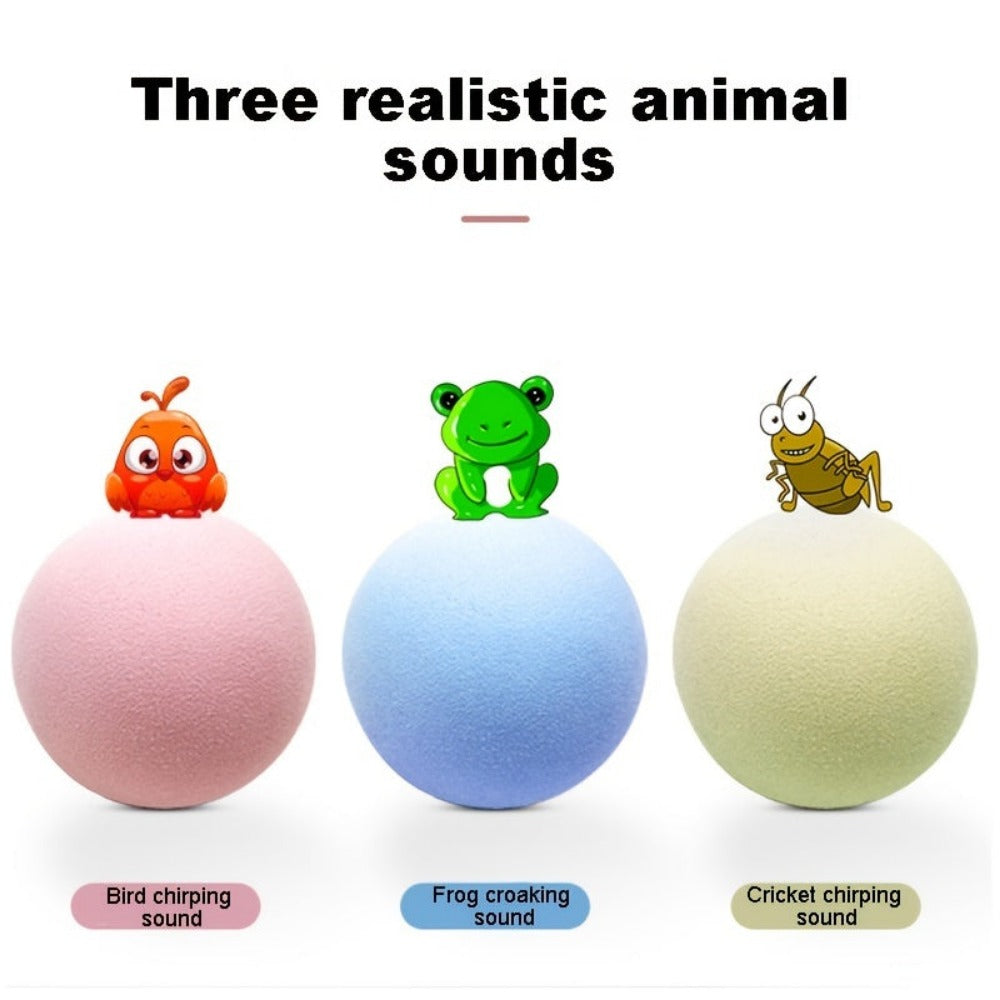 Everyday.Discount buy cat interactive catnip balls gravity boredom soundball kittens cat natural behavior playtime cat indoors entertaining pinterest cats tiktok stimulate instincts boredom cat youtube videos cat entertaining insects calling playball instagram ifluencer cat activity playtoy petshop everyday free.shipping petsafe cat attractive healthy kittens  