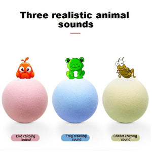 Everyday.Discount buy cat interactive catnip balls gravity boredom soundball kittens cat natural behavior playtime cat indoors entertaining pinterest cats tiktok stimulate instincts boredom cat youtube videos cat entertaining insects calling playball instagram ifluencer cat activity playtoy petshop everyday free.shipping petsafe cat attractive healthy kittens  