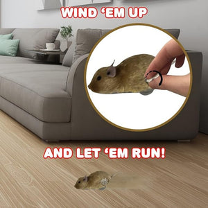Everyday.Discount buy cat play toys classical windup mice funny entertaining interactive movable windup customers rated mice plush cat chew bite pillow playtoys cats pinterest stimulating moving stuffed catmint playing dolls moving interactive kittens tiktok youtube videos playing cat instagram animal healthcare petshop everyday.discount free.shipping