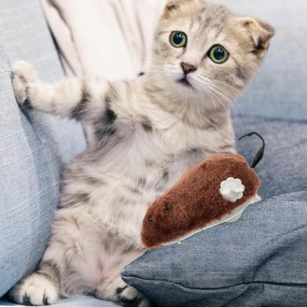 Everyday.Discount buy cat play toys classical windup mice funny entertaining interactive movable windup customers rated mice plush cat chew bite pillow playtoys cats pinterest stimulating moving stuffed catmint playing dolls moving interactive kittens tiktok youtube videos playing cat instagram animal healthcare petshop everyday.discount free.shipping