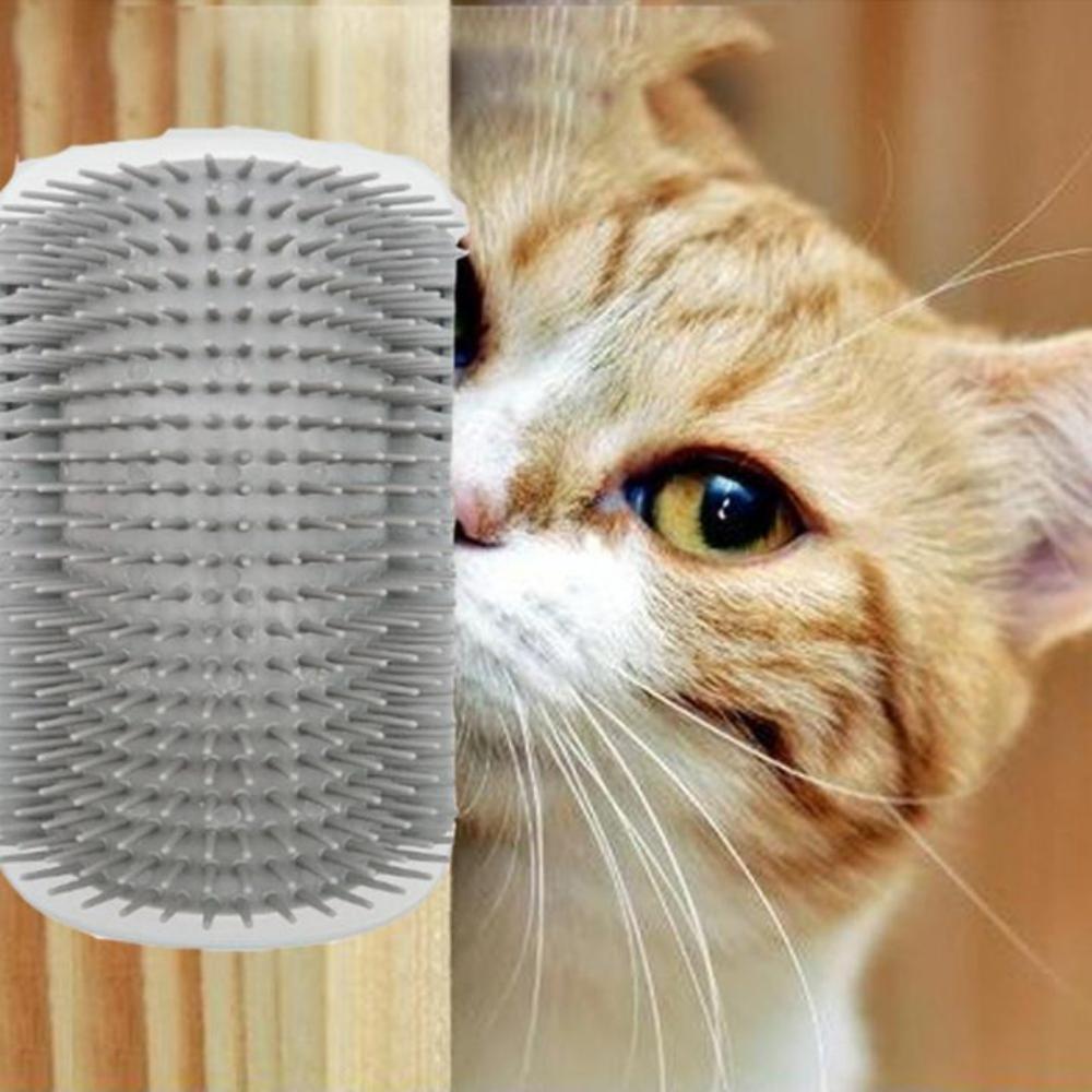 Everyday.Discount buy cats brushes cat hairs combs pinterest cats self grooming kittens   groomers tiktok youtube videos cat heads rubs combs deshedding brushes tickling head detangler instagram catcare groomer haircomb maine coon ragdoll cat massager catface hairbrush free.shipping catface onlineshopping scratching cat funny livingstyle everyday