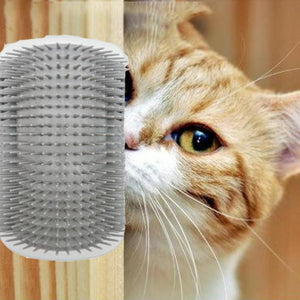 Everyday.Discount buy cats brushes cat hairs combs pinterest cats self grooming kittens   groomers tiktok youtube videos cat heads rubs combs deshedding brushes tickling head detangler instagram catcare groomer haircomb maine coon ragdoll cat massager catface hairbrush free.shipping catface onlineshopping scratching cat funny livingstyle everyday