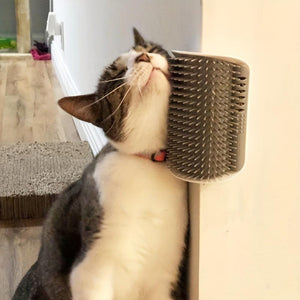 Everyday.Discount buy cats brushes cat hairs combs pinterest cats self grooming kittens   groomers tiktok youtube videos cat heads rubs combs deshedding brushes tickling head detangler instagram catcare groomer haircomb maine coon ragdoll cat massager catface hairbrush free.shipping catface onlineshopping scratching cat funny livingstyle everyday