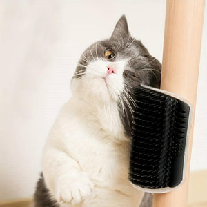 Everyday.Discount buy cats brushes cat hairs combs pinterest cats self grooming kittens   groomers tiktok youtube videos cat heads rubs combs deshedding brushes tickling head detangler instagram catcare groomer haircomb maine coon ragdoll cat massager catface hairbrush free.shipping catface onlineshopping scratching cat funny livingstyle everyday