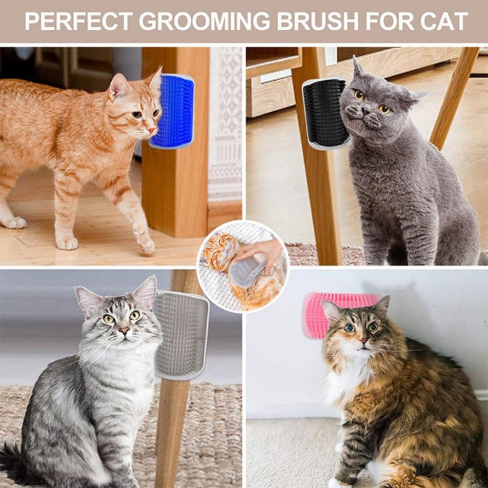 Everyday.Discount buy cats brushes cat hairs combs pinterest cats self grooming kittens   groomers tiktok youtube videos cat heads rubs combs deshedding brushes tickling head detangler instagram catcare groomer haircomb maine coon ragdoll cat massager catface hairbrush free.shipping catface onlineshopping scratching cat funny livingstyle everyday