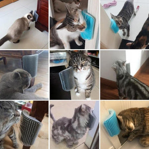 Everyday.Discount buy cats brushes cat hairs combs pinterest cats self grooming kittens   groomers tiktok youtube videos cat heads rubs combs deshedding brushes tickling head detangler instagram catcare groomer haircomb maine coon ragdoll cat massager catface hairbrush free.shipping catface onlineshopping scratching cat funny livingstyle everyday