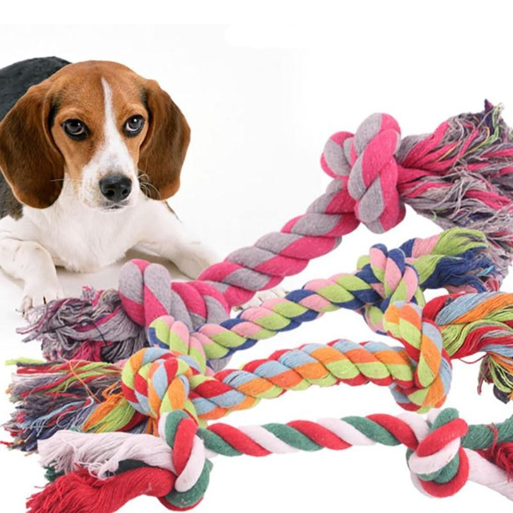 Everyday.Discount buy chew ropes dogs teeth cleenings durable cotton healthy chewing braided chew bone tiktok youtube funny dogs chewing toys pinterest pins dogs tug rope applicable petsafe cotton braided chewknot instagram dogs influencer paw dental teeth   petshop everyday.discount fast free.shipping teethcare chew play session puppies dogs