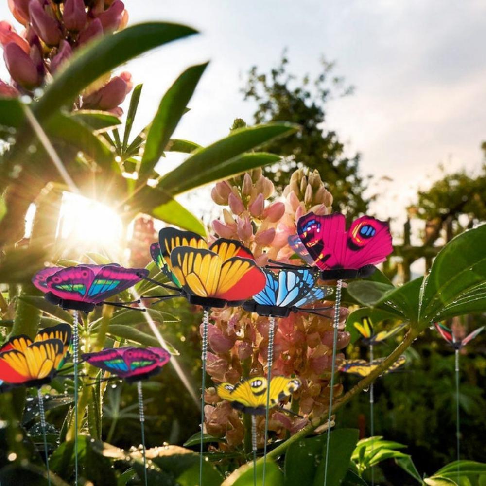 Everyday.Discount buy colorful bunch butterflies flowerpot indoors charm viral summers decoration gardens outdoors butterflies stake inspire flower potted plants styles balcony instagram tiktok youtube videos butterflies flowerpot verandas interior floral potted deco  apartments balconies hanging inside planterpot onlineshopping railing ceiling butterflies  
