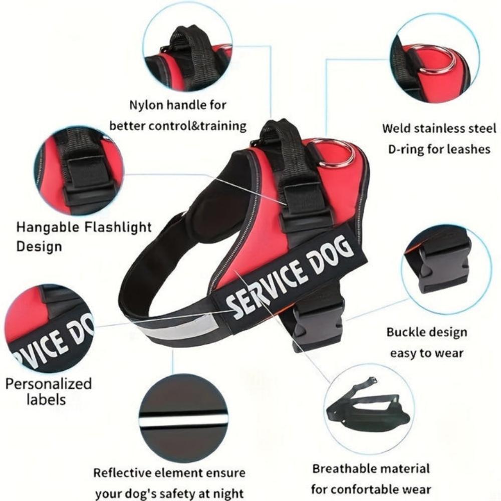 Everyday.Discount buy dogs harness custom glow leash viral cute reflective yorkie mesh cloth onlineshopping custom padded around dogwaist under belly applicable harnesses glowing petsafe identification stepin harness instagram viral collar tiktok youtube videos breathable chest sizes adjustable walking visibility dog's dogs belly stylish leash safety 