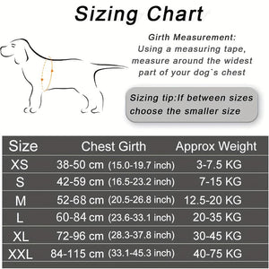 Everyday.Discount buy dogs harness custom glow leash viral cute reflective yorkie mesh cloth onlineshopping custom padded around dogwaist under belly applicable harnesses glowing petsafe identification stepin harness instagram viral collar tiktok youtube videos breathable chest sizes adjustable walking visibility dog's dogs belly stylish leash safety 