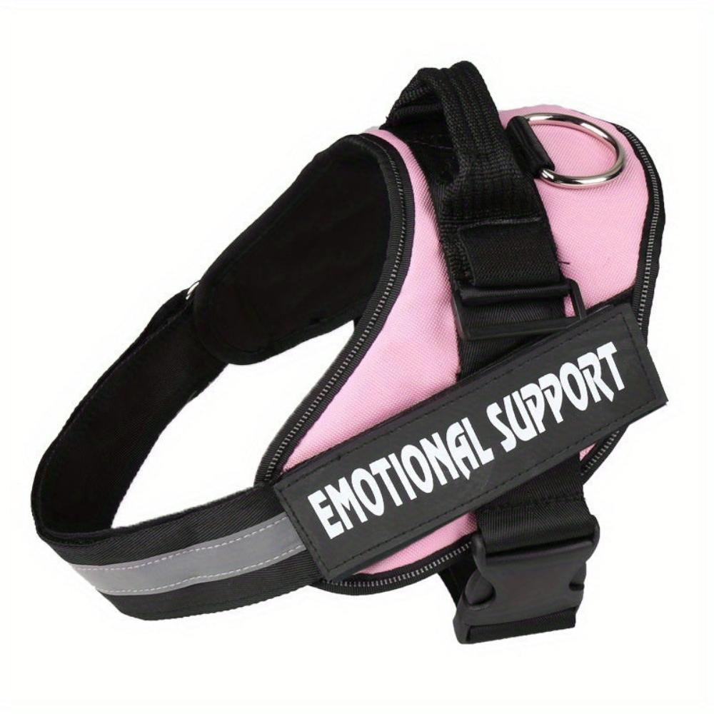 Everyday.Discount buy dogs harness custom glow leash viral cute reflective yorkie mesh cloth onlineshopping custom padded around dogwaist under belly applicable harnesses glowing petsafe identification stepin harness instagram viral collar tiktok youtube videos breathable chest sizes adjustable walking visibility dog's dogs belly stylish leash safety 