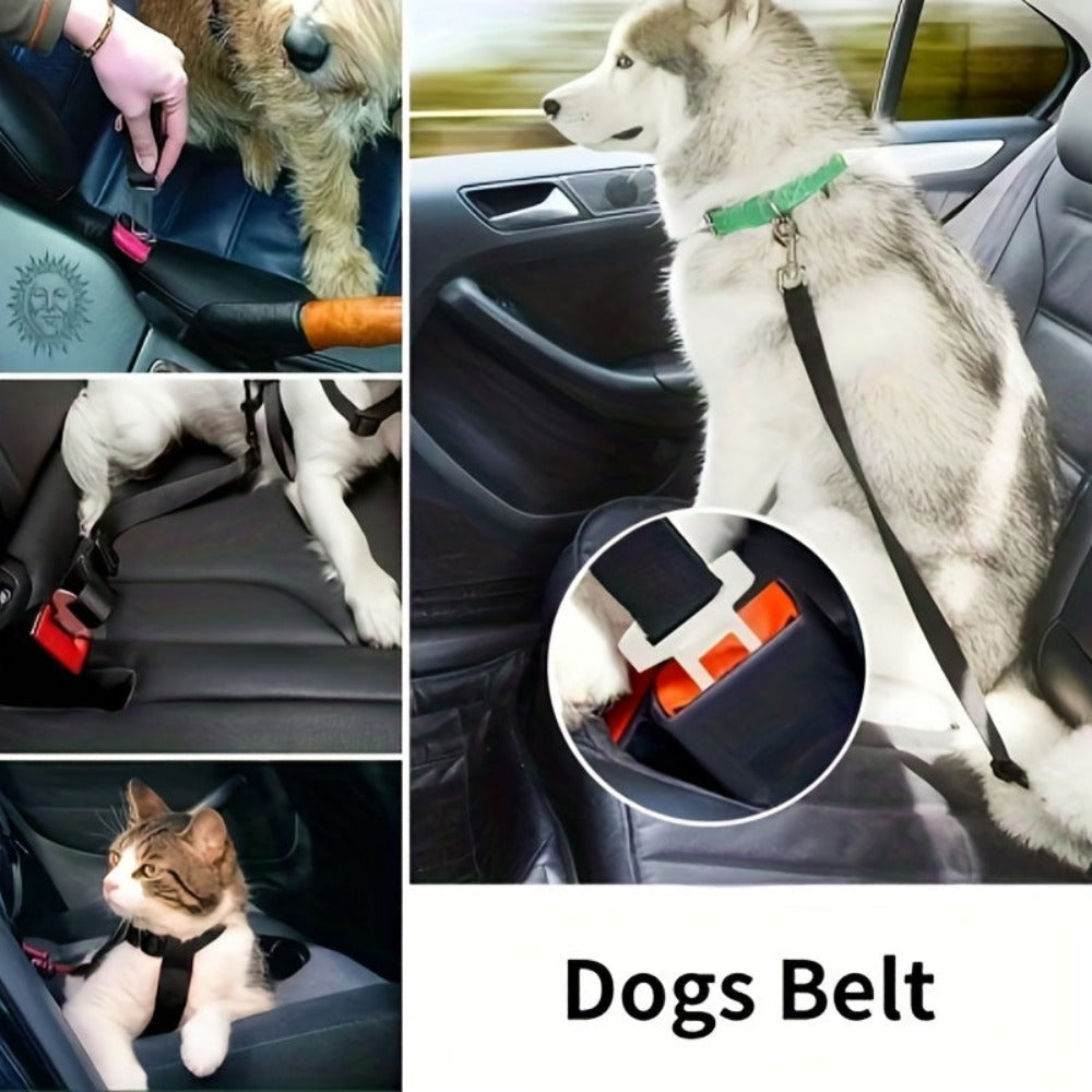 Everyday.Discount buy dogs car seat belts pinterest frontseat leash backseat cars safety suv strap dogs seatbelt extenders inside greyhound traveling youtube videos animal car seatbelt buckle tether tiktok dogs puppies carseat straps instagram shoponline everyday quality seat belts safety required attachments petshop extensions harness free.shipping 