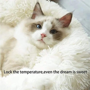 Everyday.Discount buy dogs cats beds pinterest pet's friendly washable thick animal round plush cushion riktok youtube videos snuggle pillow tiny dogs cats cuddler interior bodiseint instagram kittens thick padded heart until the tails washable oval pillow animal dome deluxe foam round plush fluffy puppies indoors padded size color everyday free.shipping petshop