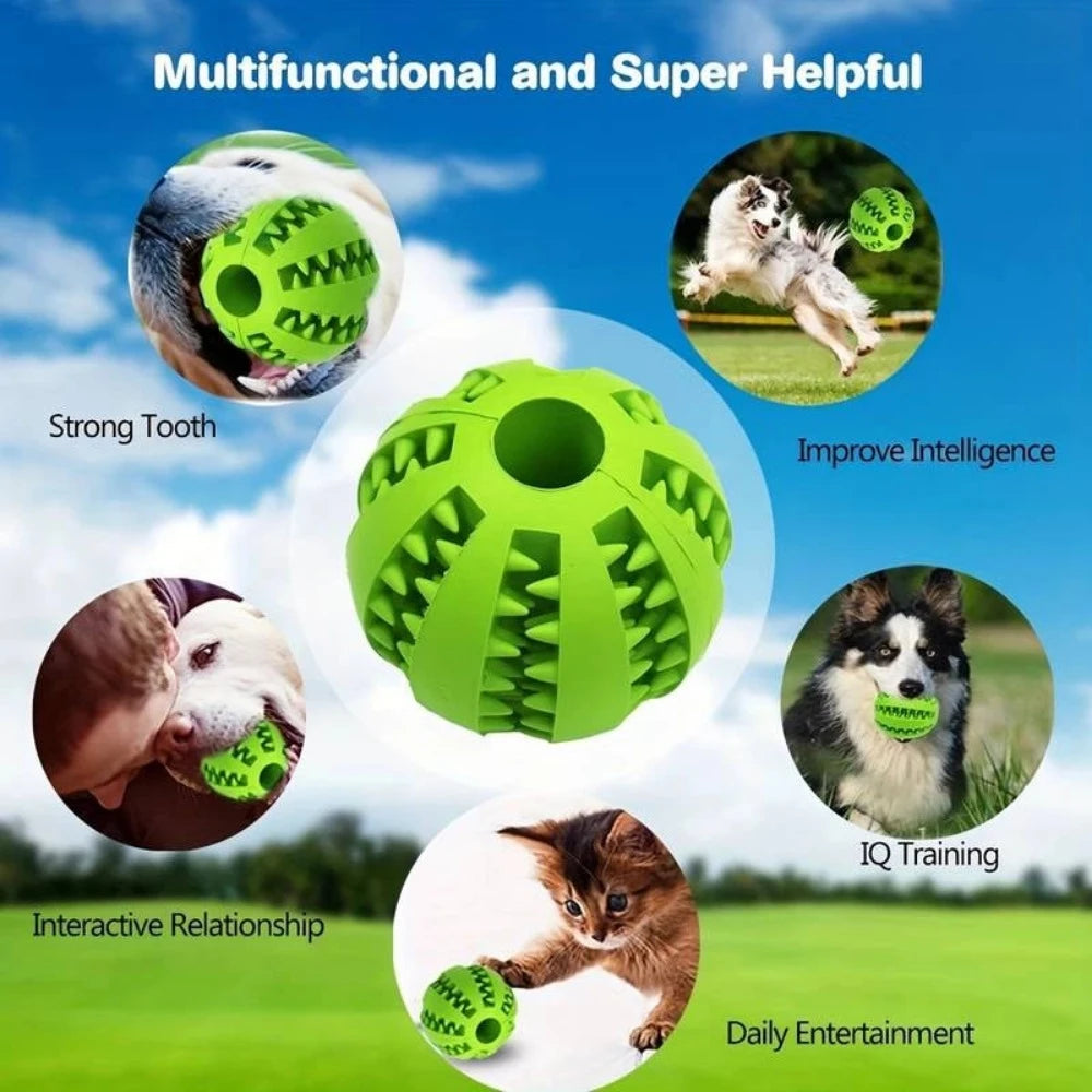 Everyday.Discount buy dogs playball dogfood insert everyday outdoors puppies activity  pinterest interactive toys outdoors bouncing teeth ball chew toys tiktok catplay pet's ball  youtube videos not toxic bouncing ball instagram dogs playtime indoors cat entertaining  playing mental stimulation moving funny elasticity teaser everyday fast shipping petshop 