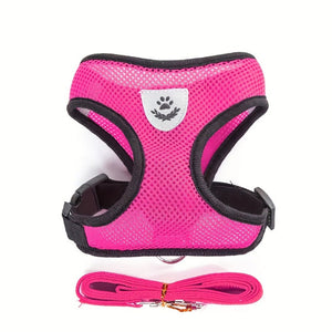 Everyday.Discount buy dogs glowing harness leash reflective mesh night walks cat cloth walking gear cat's padded around waist under belly applicable harnesses pinterest dogs glowing petsafe nightwalk tiny stylish harness tiktok cat youtube dogs videos breathable  instagram cats safety around waist under belly everyday fast shipping stylish mesh gear