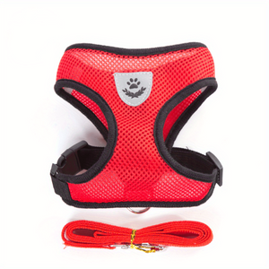 Everyday.Discount buy dogs glowing harness leash reflective mesh night walks cat cloth walking gear cat's padded around waist under belly applicable harnesses pinterest dogs glowing petsafe nightwalk tiny stylish harness tiktok cat youtube dogs videos breathable  instagram cats safety around waist under belly everyday fast shipping stylish mesh gear