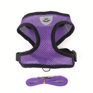 Everyday.Discount buy dogs glowing harness leash reflective mesh night walks cat cloth walking gear cat's padded around waist under belly applicable harnesses pinterest dogs glowing petsafe nightwalk tiny stylish harness tiktok cat youtube dogs videos breathable  instagram cats safety around waist under belly everyday fast shipping stylish mesh gear