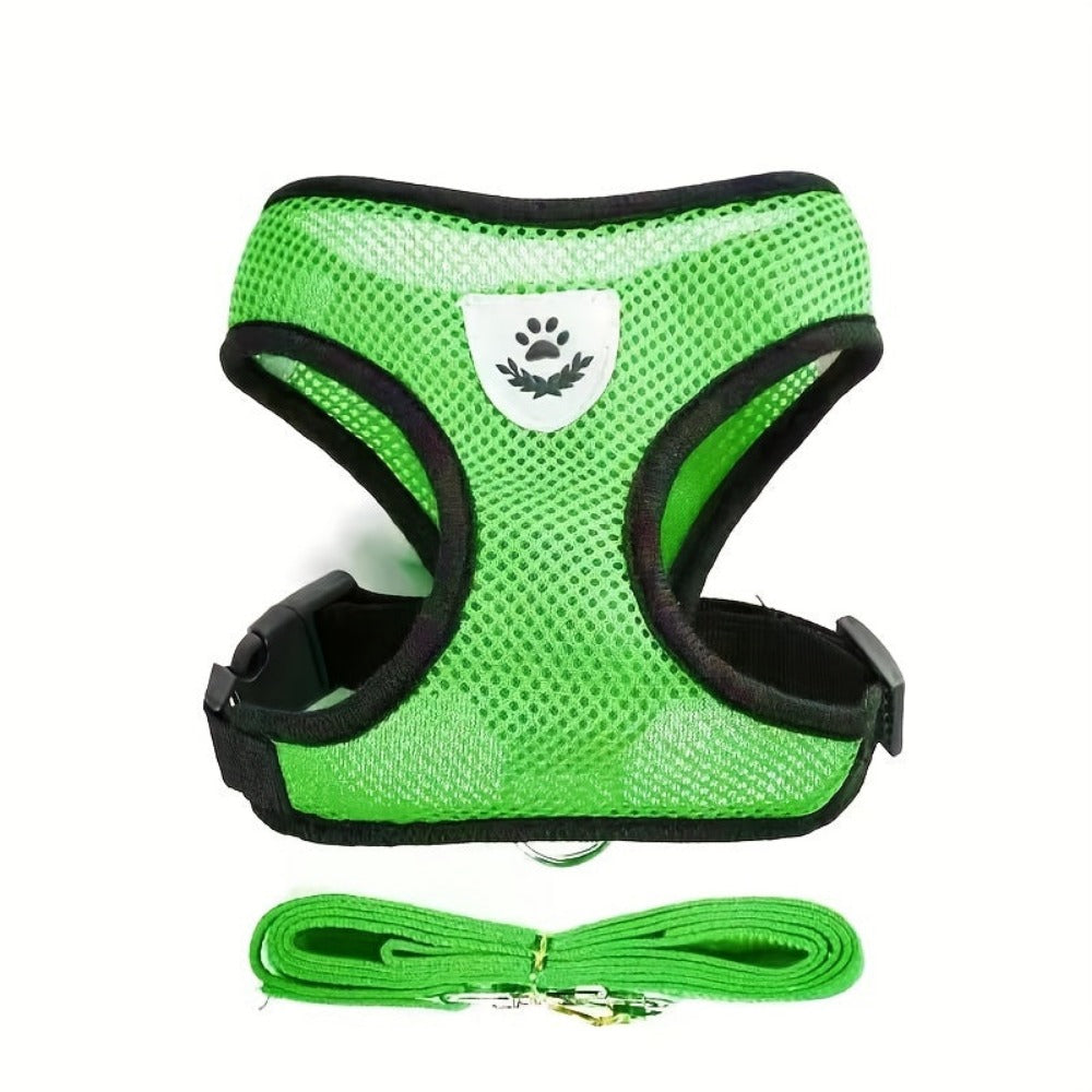 Everyday.Discount buy dogs glowing harness leash reflective mesh night walks cat cloth walking gear cat's padded around waist under belly applicable harnesses pinterest dogs glowing petsafe nightwalk tiny stylish harness tiktok cat youtube dogs videos breathable  instagram cats safety around waist under belly everyday fast shipping stylish mesh gear
