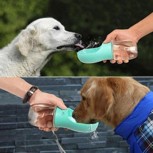 Everyday.Discount buy dogs cat waterbottle pinterest pet's drinking beach travel holiday tiktok instagram cat puppies hydration dogs bottle leak proof feeder youtube viral videos traveling outdoors healthy fresh waterdrinking bottle won't spill petshop instagram travel viral onlineshopping petmart everyday.discount free.shipping shoponline dogs supplies 