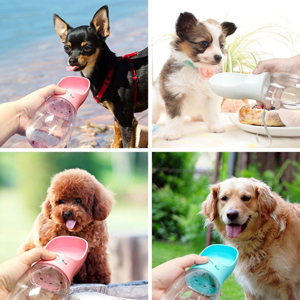 Everyday.Discount buy dogs cat waterbottle pinterest pet's drinking beach travel holiday tiktok instagram cat puppies hydration dogs bottle leak proof feeder youtube viral videos traveling outdoors healthy fresh waterdrinking bottle won't spill petshop instagram travel viral onlineshopping petmart everyday.discount free.shipping shoponline dogs supplies 