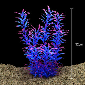 Everyday.Discount buy aquarium's plants pinterest underwater world aquatic lives tiktok youtube videos atlantis lively aquatic algae foreground fishtanks decorations underwater  glowing plants instagram world d'aquarium fishtanks panoramic dispaying optical plants explore onlineshopping instagram friends stunning funny fishtank vs aquatic alive world 