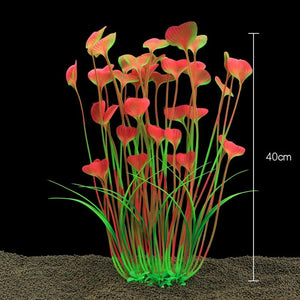 Everyday.Discount buy aquarium's plants pinterest underwater world aquatic lives tiktok youtube videos atlantis lively aquatic algae foreground fishtanks decorations underwater  glowing plants instagram world d'aquarium fishtanks panoramic dispaying optical plants explore onlineshopping instagram friends stunning funny fishtank vs aquatic alive world 
