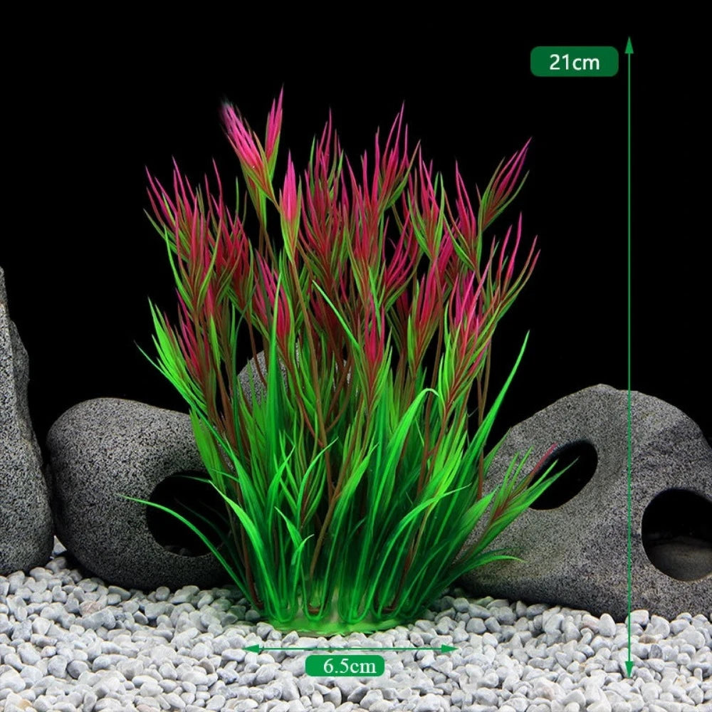 Everyday.Discount buy aquarium's plants pinterest underwater world aquatic lives tiktok youtube videos atlantis lively aquatic algae foreground fishtanks decorations underwater  glowing plants instagram world d'aquarium fishtanks panoramic dispaying optical plants explore onlineshopping instagram friends stunning funny fishtank vs aquatic alive world 