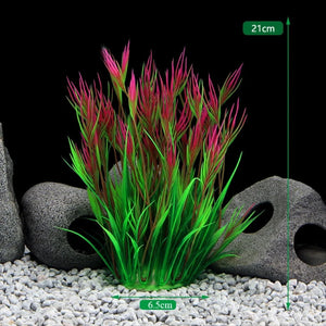Everyday.Discount buy aquarium's plants pinterest underwater world aquatic lives tiktok youtube videos atlantis lively aquatic algae foreground fishtanks decorations underwater  glowing plants instagram world d'aquarium fishtanks panoramic dispaying optical plants explore onlineshopping instagram friends stunning funny fishtank vs aquatic alive world 