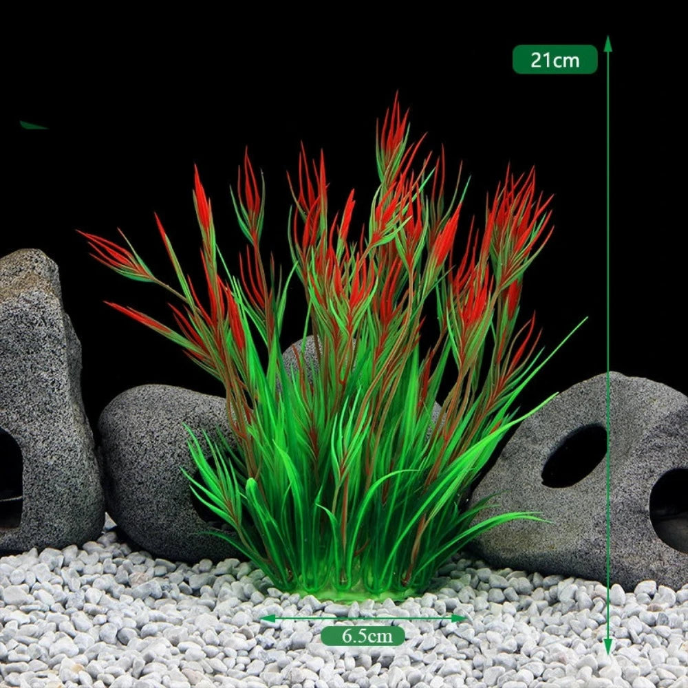 Everyday.Discount buy aquarium's plants pinterest underwater world aquatic lives tiktok youtube videos atlantis lively aquatic algae foreground fishtanks decorations underwater  glowing plants instagram world d'aquarium fishtanks panoramic dispaying optical plants explore onlineshopping instagram friends stunning funny fishtank vs aquatic alive world 