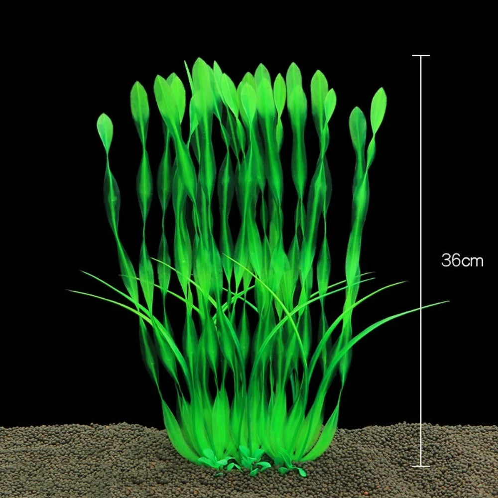 Everyday.Discount buy aquarium's plants pinterest underwater world aquatic lives tiktok youtube videos atlantis lively aquatic algae foreground fishtanks decorations underwater  glowing plants instagram world d'aquarium fishtanks panoramic dispaying optical plants explore onlineshopping instagram friends stunning funny fishtank vs aquatic alive world 