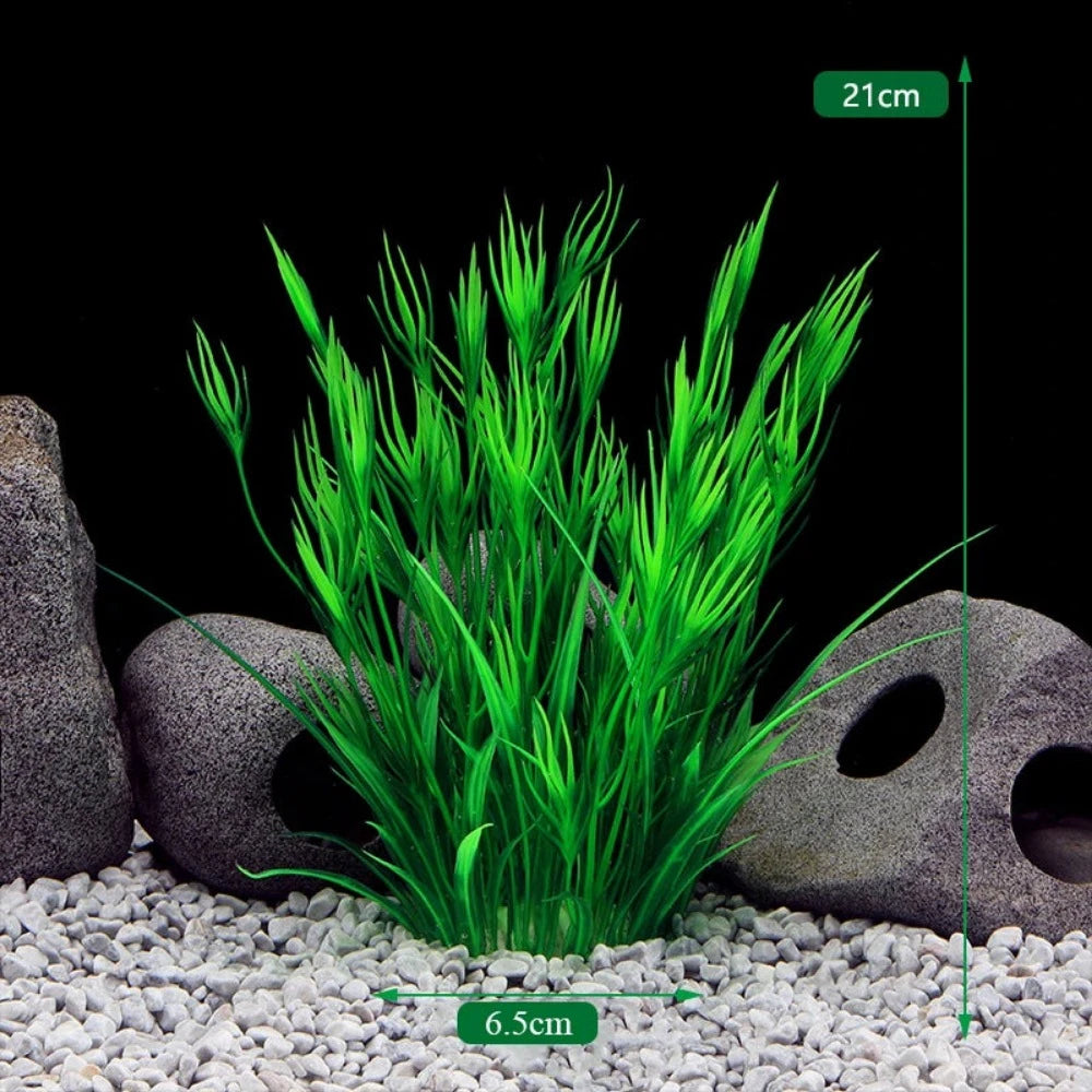 Everyday.Discount buy aquarium's plants pinterest underwater world aquatic lives tiktok youtube videos atlantis lively aquatic algae foreground fishtanks decorations underwater  glowing plants instagram world d'aquarium fishtanks panoramic dispaying optical plants explore onlineshopping instagram friends stunning funny fishtank vs aquatic alive world 