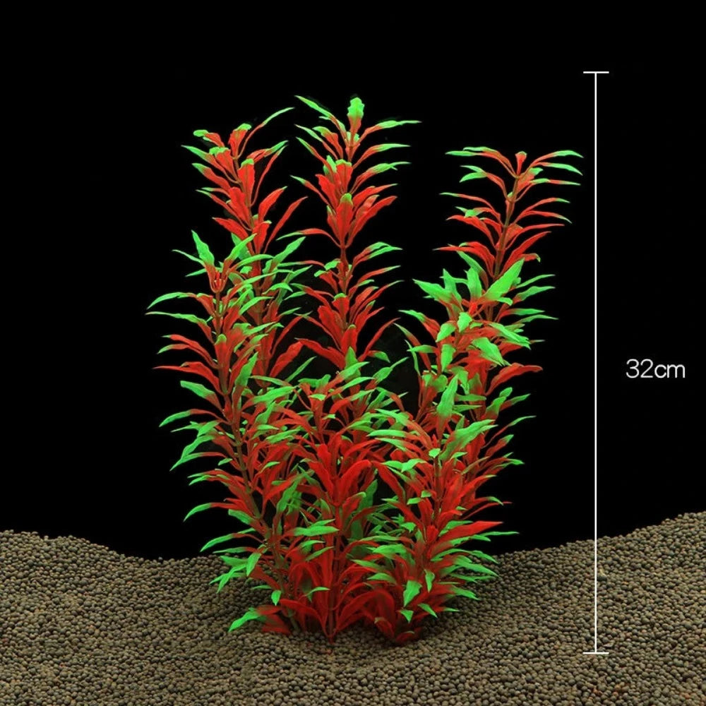 Everyday.Discount buy aquarium's plants pinterest underwater world aquatic lives tiktok youtube videos atlantis lively aquatic algae foreground fishtanks decorations underwater  glowing plants instagram world d'aquarium fishtanks panoramic dispaying optical plants explore onlineshopping instagram friends stunning funny fishtank vs aquatic alive world 