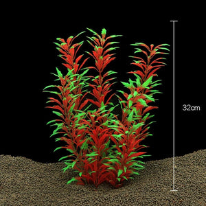 Everyday.Discount buy aquarium's plants pinterest underwater world aquatic lives tiktok youtube videos atlantis lively aquatic algae foreground fishtanks decorations underwater  glowing plants instagram world d'aquarium fishtanks panoramic dispaying optical plants explore onlineshopping instagram friends stunning funny fishtank vs aquatic alive world 