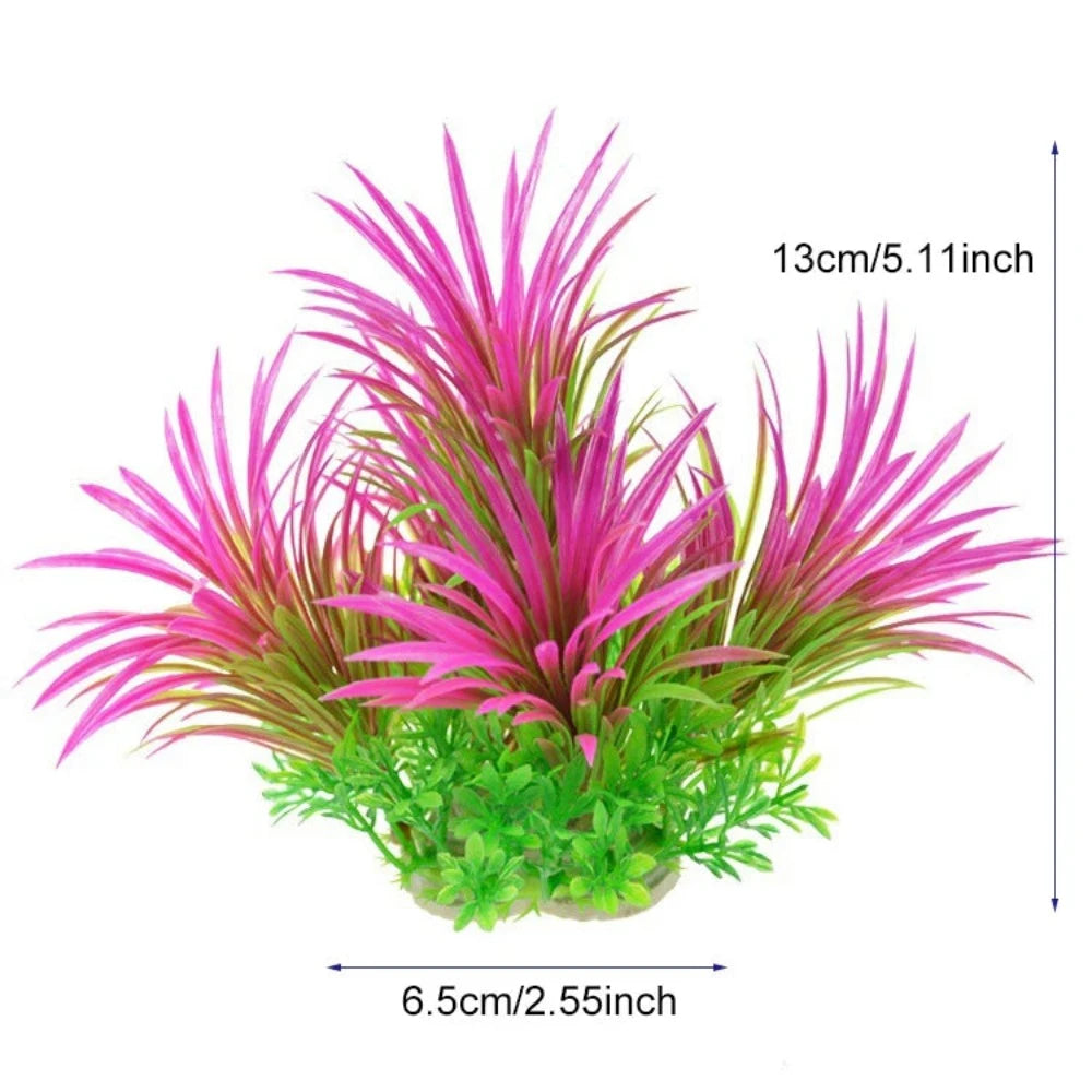 Everyday.Discount buy aquarium's plants pinterest underwater world aquatic lives tiktok youtube videos atlantis lively aquatic algae foreground fishtanks decorations underwater  glowing plants instagram world d'aquarium fishtanks panoramic dispaying optical plants explore onlineshopping instagram friends stunning funny fishtank vs aquatic alive world 