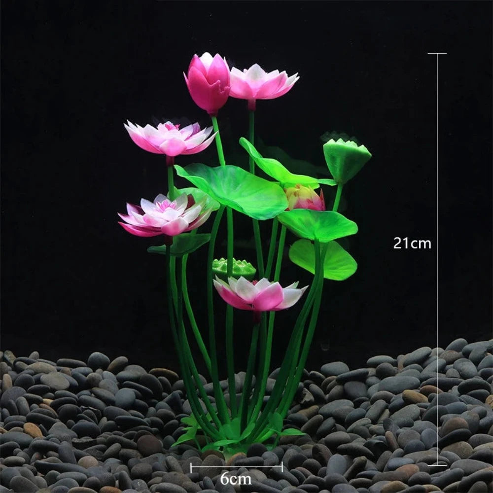 Everyday.Discount buy aquarium's plants pinterest underwater world aquatic lives tiktok youtube videos atlantis lively aquatic algae foreground fishtanks decorations underwater  glowing plants instagram world d'aquarium fishtanks panoramic dispaying optical plants explore onlineshopping instagram friends stunning funny fishtank vs aquatic alive world 