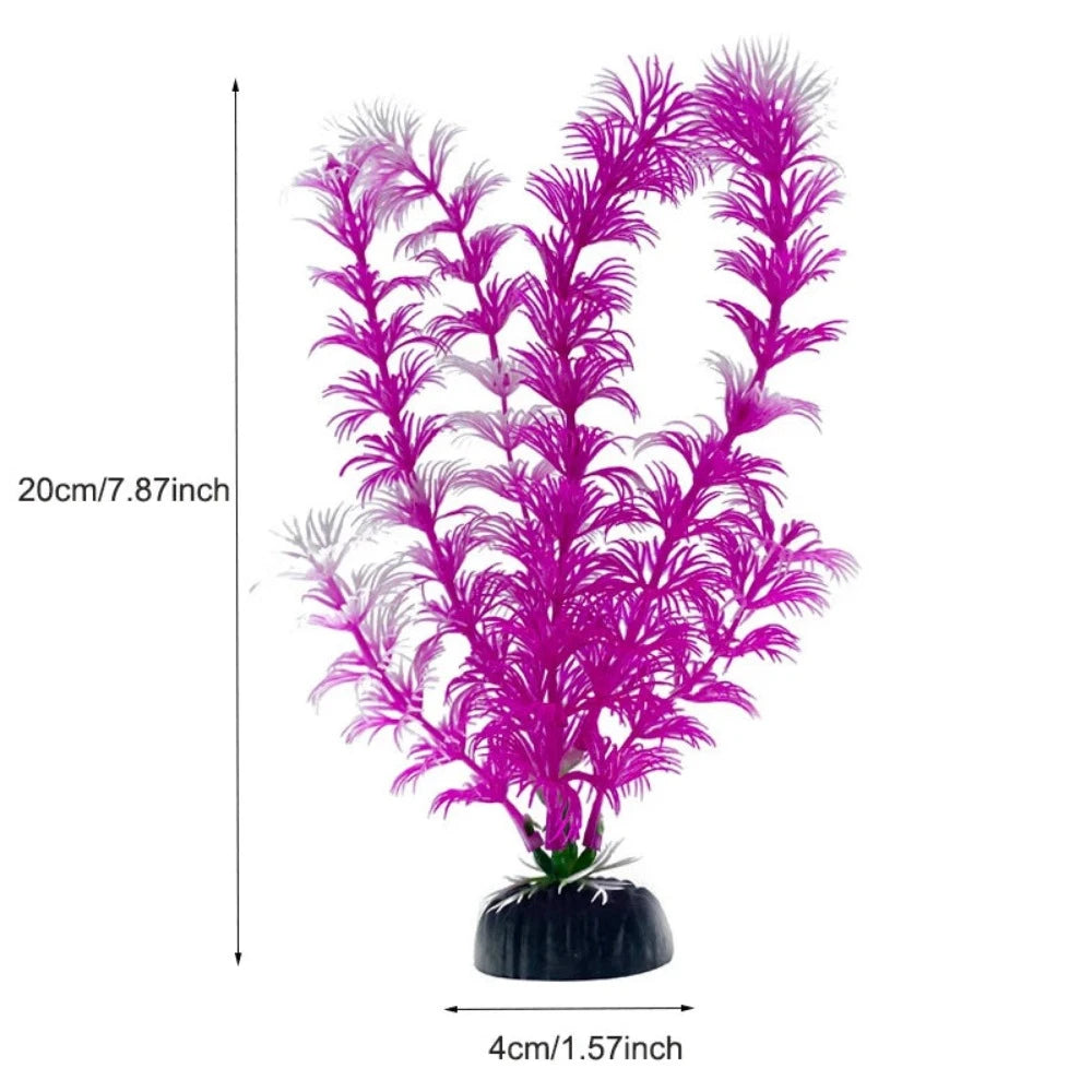 Everyday.Discount buy aquarium's plants pinterest underwater world aquatic lives tiktok youtube videos atlantis lively aquatic algae foreground fishtanks decorations underwater  glowing plants instagram world d'aquarium fishtanks panoramic dispaying optical plants explore onlineshopping instagram friends stunning funny fishtank vs aquatic alive world 