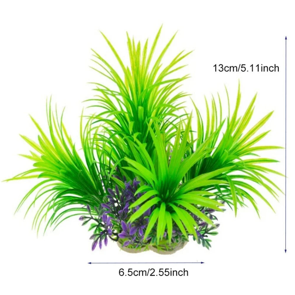 Everyday.Discount buy aquarium's plants pinterest underwater world aquatic lives tiktok youtube videos atlantis lively aquatic algae foreground fishtanks decorations underwater  glowing plants instagram world d'aquarium fishtanks panoramic dispaying optical plants explore onlineshopping instagram friends stunning funny fishtank vs aquatic alive world 