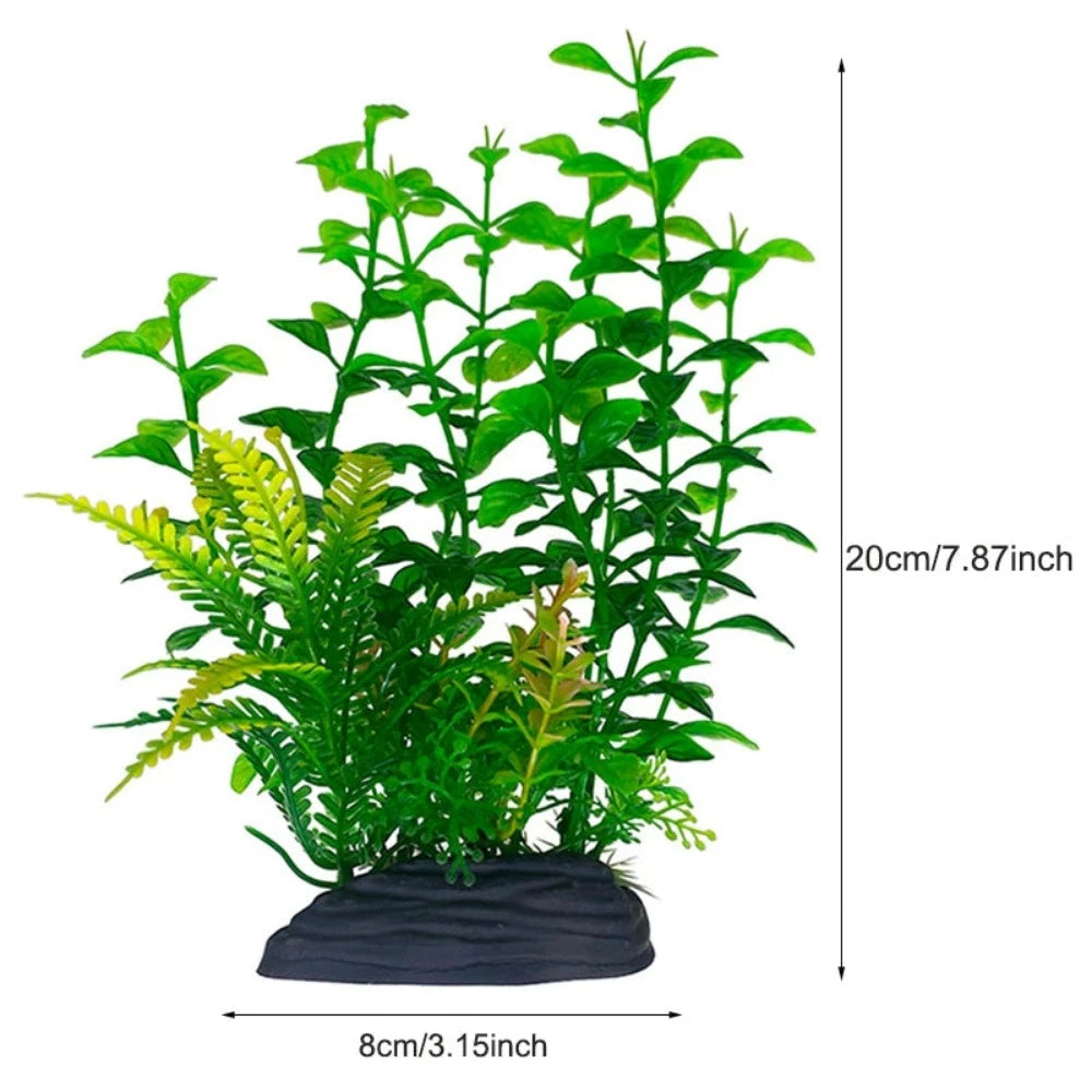 Everyday.Discount buy aquarium's plants pinterest underwater world aquatic lives tiktok youtube videos atlantis lively aquatic algae foreground fishtanks decorations underwater  glowing plants instagram world d'aquarium fishtanks panoramic dispaying optical plants explore onlineshopping instagram friends stunning funny fishtank vs aquatic alive world 