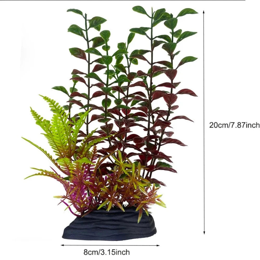 Everyday.Discount buy aquarium's plants pinterest underwater world aquatic lives tiktok youtube videos atlantis lively aquatic algae foreground fishtanks decorations underwater  glowing plants instagram world d'aquarium fishtanks panoramic dispaying optical plants explore onlineshopping instagram friends stunning funny fishtank vs aquatic alive world 