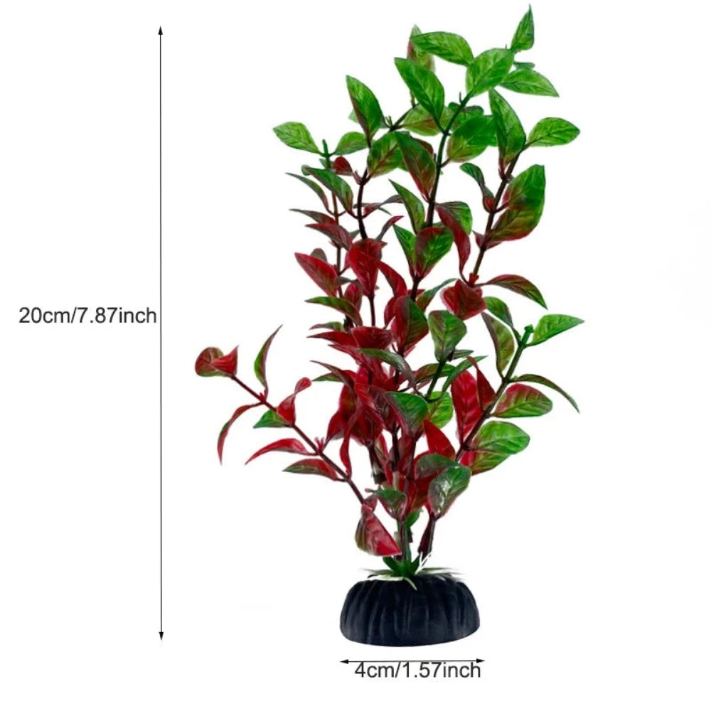Everyday.Discount buy aquarium's plants pinterest underwater world aquatic lives tiktok youtube videos atlantis lively aquatic algae foreground fishtanks decorations underwater  glowing plants instagram world d'aquarium fishtanks panoramic dispaying optical plants explore onlineshopping instagram friends stunning funny fishtank vs aquatic alive world 