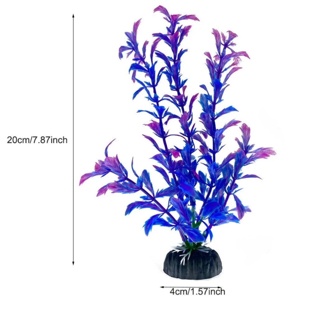 Everyday.Discount buy aquarium's plants pinterest underwater world aquatic lives tiktok youtube videos atlantis lively aquatic algae foreground fishtanks decorations underwater  glowing plants instagram world d'aquarium fishtanks panoramic dispaying optical plants explore onlineshopping instagram friends stunning funny fishtank vs aquatic alive world 