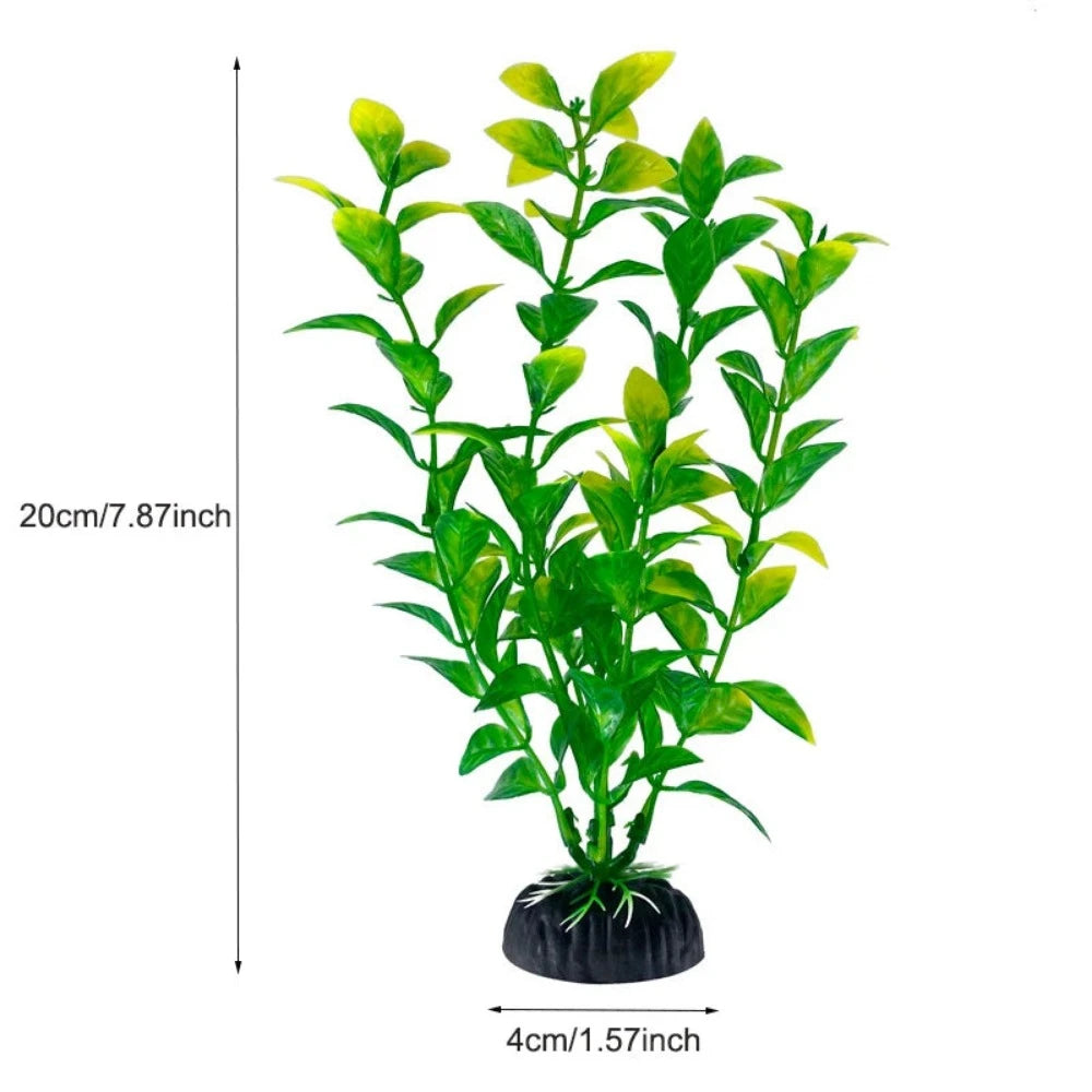 Everyday.Discount buy aquarium's plants pinterest underwater world aquatic lives tiktok youtube videos atlantis lively aquatic algae foreground fishtanks decorations underwater  glowing plants instagram world d'aquarium fishtanks panoramic dispaying optical plants explore onlineshopping instagram friends stunning funny fishtank vs aquatic alive world 